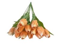 Tulipán 12ks plast 45cm